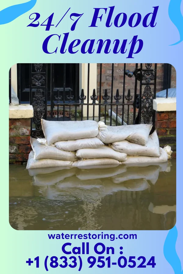 24/7 Flood Cleanup in Philadelphia, MS