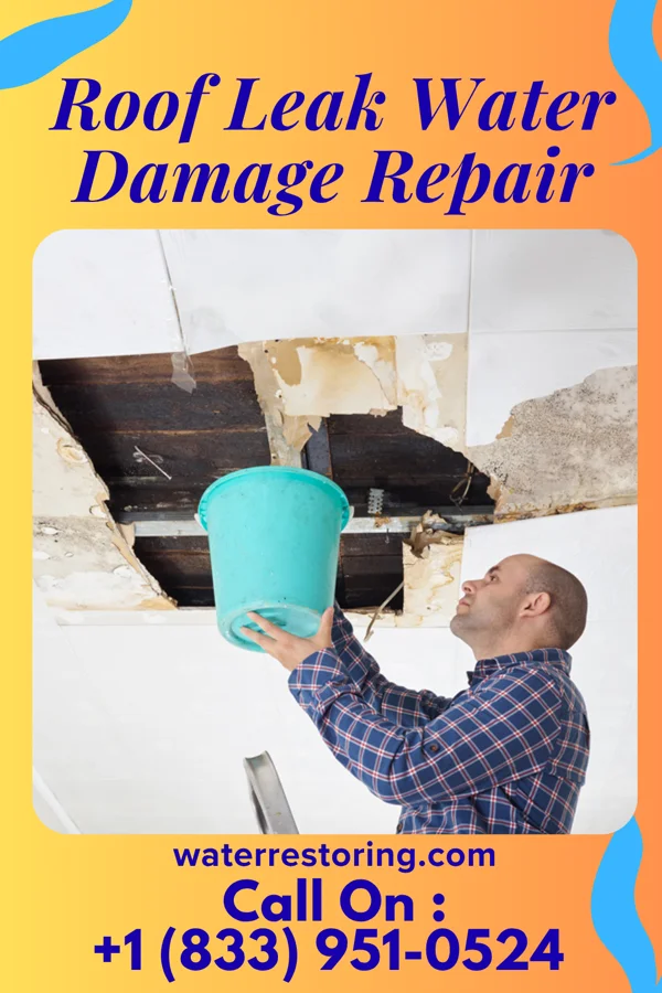 Roof Leak Water Damage Repair in Philadelphia, MS